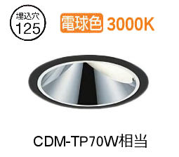 ※メーカー欠品中※ 大光電機 ウォールウォッシャーダウンライト 電源別売 LZD93559YBZ 工事必要