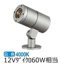 大光電機 アウトドアスポットライト(灯具のみ 単体使用不可) LLS7097NUM 工事必要