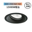 ※メーカー欠品中※ 大光電機 調光調色タイプユニバーサルダウンライト LZD9054FBB4 工事必要