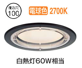 大光電機 軒下用ダウンライト DOL5595YB 電球色 工事必要