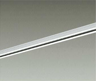 大光電機 直付専用ダクトレール2m用 白 DP00212W 工事必要