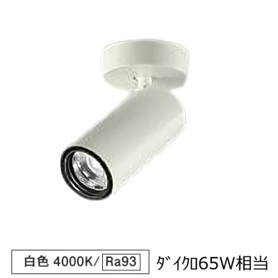 大光電機 シリンダースポット LZS-9117NWW5 800クラス Φ50 ダイクロ65W相当 4000K 高演色 工事必要