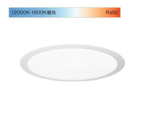 遠藤照明 Syncaサークルベースライト 埋込型 SXK4034W 工事必要
