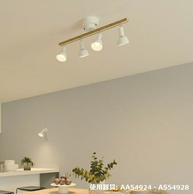 コイズミ照明 シャンデリア AA54924 