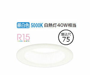 ǥå ١饤 OD361065R  鿧 75 Ǯ40W ɬ