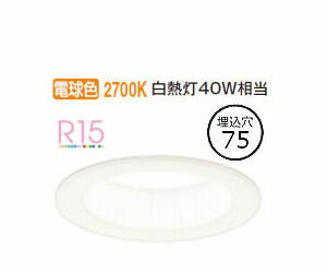 ǥå ١饤 OD361066R ŵ忧 鿧 75 Ǯ40W ɬ