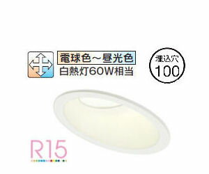 ǥå ŷѥ饤 OD361145BCR ĴĴ 鿧 Bluetooth 100 Ǯ60W ɬ