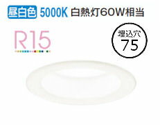 ǥå ѥ饤 OD361199R Ἴ  鿧 75 Ǯ60W ɬ