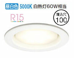 ǥå 饤 OD361204NDR  鿧 100 Ǯ60W ɬ
