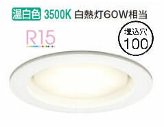 ǥå 饤 OD361204WDR  鿧 100 Ǯ60W ɬ