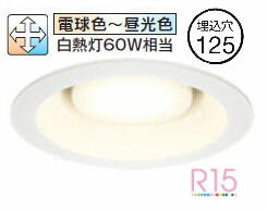 ǥå 饤 OD361235BCR ĴĴ 鿧 Bluetooth 125 Ǯ60W ɬ