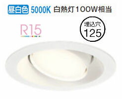 ǥå ˥С饤 OD361241NDR  鿧 125 Ǯ100W ɬ