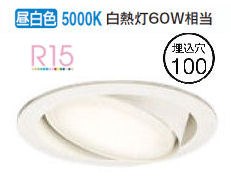 ǥå ˥С饤 OD361243NDR  鿧 100 Ǯ60W ɬ