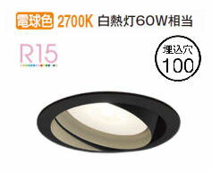 ǥå ˥С饤 OD361244MLR ŵ忧 鿧 100 Ǯ60W ɬ