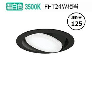 ǥå ˥С饤 OD361362WR  鿧 125 FHT24W ɬ