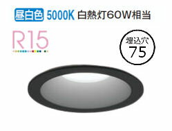 ǥå ѥ饤 OD361475R Ἴ  鿧 75 Ǯ60W ɬ