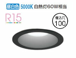 ǥå ѥ饤 OD361477R Ἴ  鿧 100 Ǯ60W ɬ