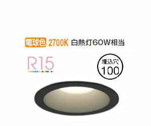 ǥå ѥ饤 OD361478R Ἴ ŵ忧 鿧 100 Ǯ60W ɬ