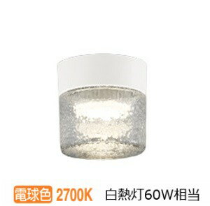 オーデリック バスルームライト OG264046LR 電球色 高演色 白熱灯60W相当 ポーチライト 工事必要