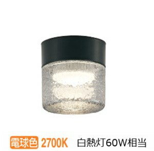 オーデリック バスルームライト OG264047LR 電球色 高演色 白熱灯60W相当 ポーチライト 工事必要