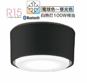 オーデリック 小型シーリングライト OL291447BCR 調光調色 高演色 白熱灯100W相当 工事必要