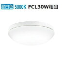 オーデリック 防雨防湿型器具 OW269013NR 昼白色 高演色 FCL30W相当 工事必要