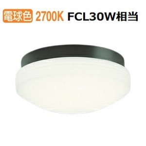 オーデリック 防雨防湿型器具 OW269016LR 電球色 高演色 FCL30W相当 工事必要