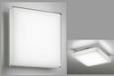 オーデリック 防雨防湿型器具 OW269023R 昼白色 高演色 FCL30W相当 工事必要