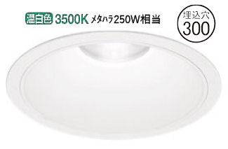 ǥå 饤(Ÿ) XD301131 Ѳ ɬ