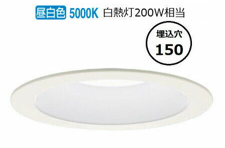 ѥʥ˥å 饤 200  LGD6201NLE1 ɬ