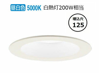 ѥʥ˥å 饤 200  LGD6220NLE1 ɬ