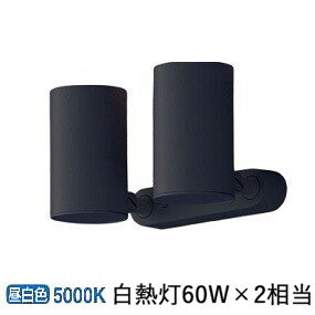 パナソニック スポットライト 屋内用 60形X2相当　昼白色 LGS1301NLB1 工事必要