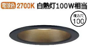 ѥʥ˥å ѥ饤 100 ŵ忧 LRD3101LLE1 ɬ