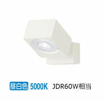 パナソニック 室内用スポットライト XAS1020NCE1(LGS9000+LLD2020NCE1) 工事必要