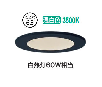 パナソニック ダウンライト SLR1014VLE1 防雨型 工事必要