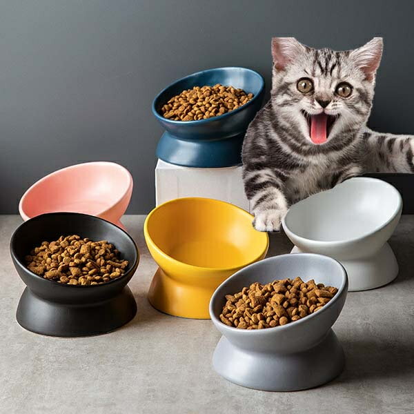 猫 フードボウル 傾斜 陶器 水入れ 斜め 犬 食器 食べやすい 高さ 水飲み セラミック ペット食器 おしゃれ ペット用 餌入れ エサ入れ えさ 台 ボウル お皿 ご飯皿 水分補給 ネコ 小型犬 可愛い 雑貨 マット ボウル ねこ 負担軽減 犬猫 犬用 送料無料