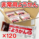 非常用ようかん120本セット パワーブーストようかん 5年保存 災害時の栄養補給に最適! 保存食 長期保存 非常食 防災グッズ 防災セット 地震対策 防災用品 羊羹 アスト お手軽 スティック 避難用 災害対策 栄養補給 栄養
