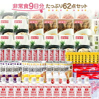 非常食9日分たっぷり62点セット　長期5年保存 食品加熱セットで温めて食べられる 防災食 備蓄食料 保存水 おいしい非常食 災害食 防災士監修