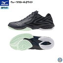【2025年1月発売】ミズノ バドミントンシューズ ウエーブクローEL2ワイド WAVE CAW EL2 WIDE 71GA2584