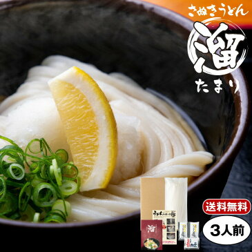 さぬきうどん「溜（たまり）」3人前 | 300g×1 半生うどん 讃岐うどん だし つゆ付き 香川 半生 うどんセット さぬき市 造田 本場さぬきから直送 メール便送料無料