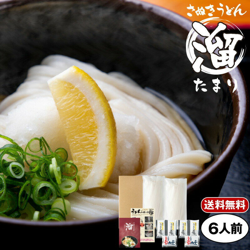 【送料無料】讃岐うどん 半生 「溜（たまり）」6人前 | 300g×2 半生うどん さぬきうどん だし つゆ付き 香川 半生 うどんセット 東かがわ さぬき市 造田 本場さぬきから直送 メール便送料無料