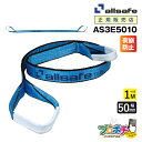 【メーカー直送】AS3E5010 スリングベルト 幅50mm 1m ベルト荷締機 3等級JIS規格品 allsafe オールセーフ 玉掛け 繊維スリング 吊り上...