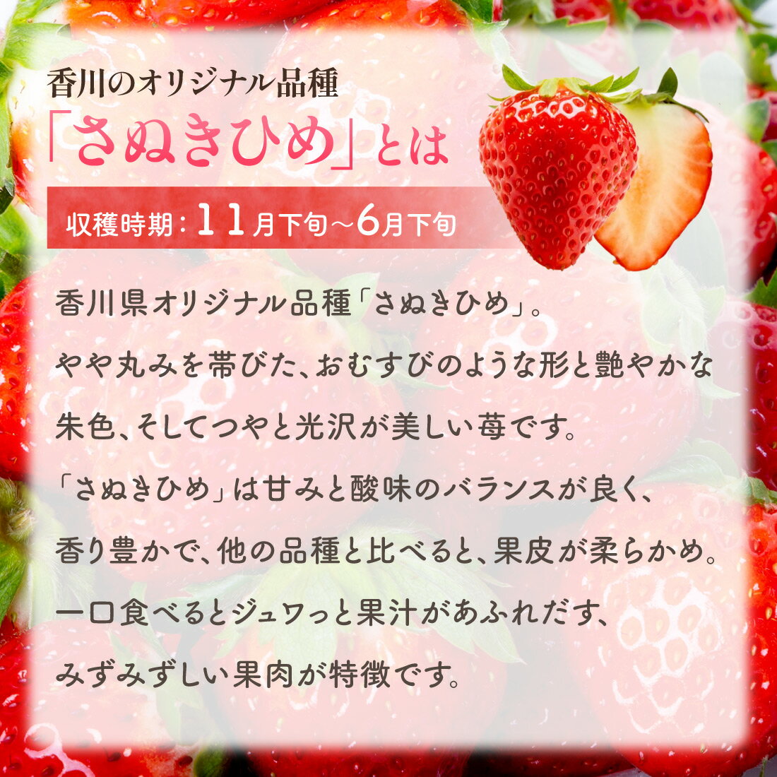 ���̤��Ҥ� L������ ������ 1Ȣ��5Ȣ 1Ȣ40γ���� (20γ 320g��2�ѥå�) 1�̽� ����16g��20g �� ������ �� �ߤ餤������ ��̳�� ����Į ��� �Ĳ�