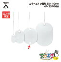 【5のつく日】【5%OFFクーポン】【法人限定】【10個セット】 未来工業 KF-3040HW カラーエフ 小判形 20枚入 30×40mm 紐付き120mm