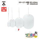 【5のつく日】【5%OFFクーポン】【法人限定】【10個セット】 未来工業 KF-3040HLW 小判形 カラーエフ 20枚入 30×40mm 紐付き220mm
