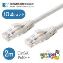 【在庫有】 Cat6A-2.0RJW(WH) 10本セット プロ仕様 Cat6A LANパッチコード 2m ホワイト 10Gbps PoE++対応 FLUKE試...