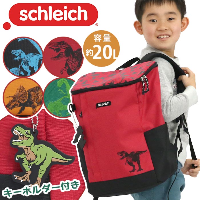 å å ˤλ schleich 饤 åå åХå ˥ ˥Хå ͵ λ Хåѥå BOX ̳ ̱ ǯĹ ǯ  ձ  ǯ ­ Ƹ Ҥɤ ä å A4 B4 20L    SC005