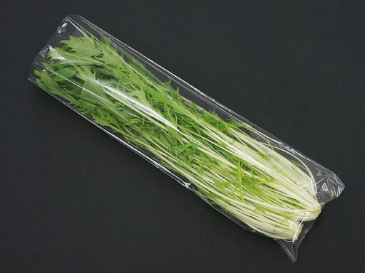 【10000枚入/ケース】 平袋 FG20#150×450 P入 150×450mm ポリ袋 防曇袋 00189537 プロステ 【10000枚入/ケース】 平袋 FG20#150×450 P入 150×450mm ポリ袋 防曇袋 00189537 プロステ