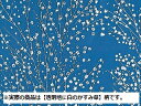 【10枚入/バラ】 ポリ風呂敷 ポリ風呂敷 No.90 業務用 業者 かすみ草 福助工業 90cm×90cm 寿司桶 オードブル 357726 プロステ