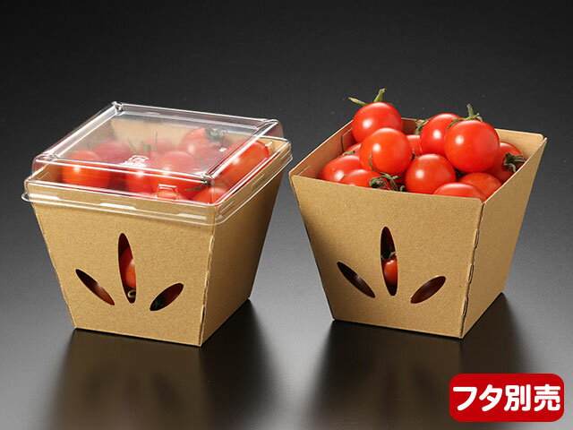 【200枚入/ケース】持ち帰り テイクアウト 持ち帰り容器 使い捨て容器 テーパーボックス 44876 未晒【weeco】パックスタイル100×100×78mm紙製588642